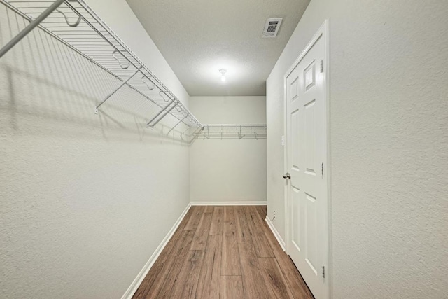 507 Teron Dr, San Marcos, TX 78666 - photo 17
