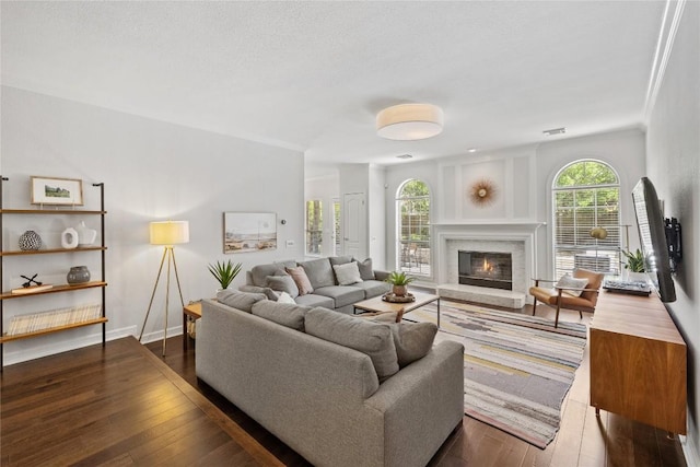 11235 Tracton Ln, Austin, TX 78739 - living room featuring dark wood finished floors and a glass covered fireplace