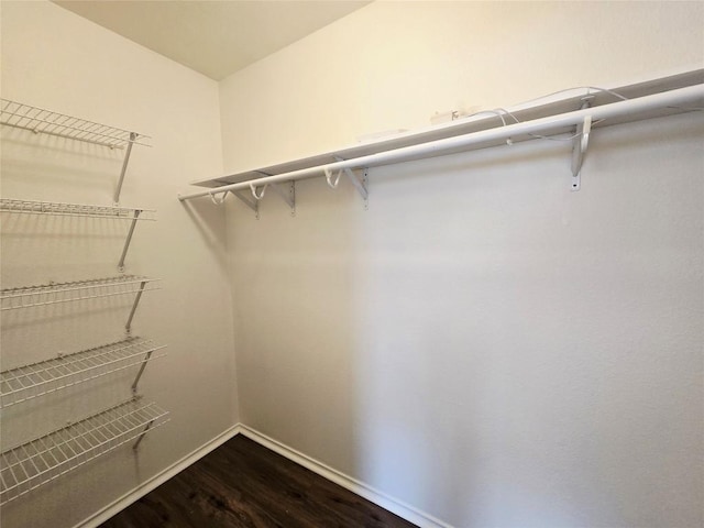 707 Johnny Bench, Round Rock, TX 78665 - walk in closet with dark wood-style flooring