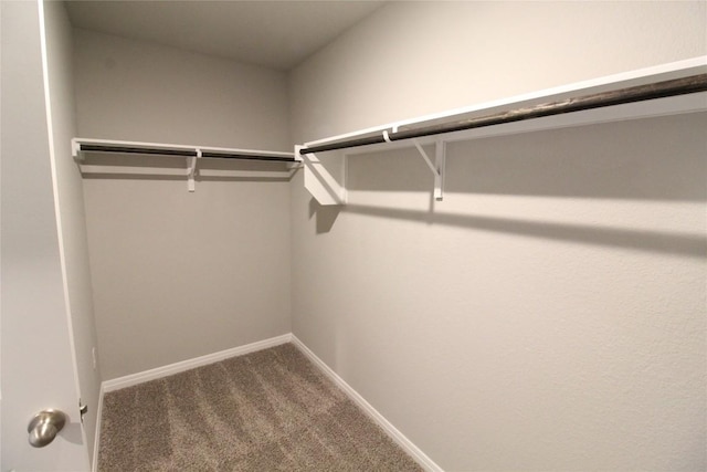 504 Dayspring Cv, Georgetown, TX 78628 - photo 12