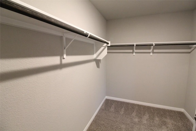 504 Dayspring Cv, Georgetown, TX 78628 - photo 13