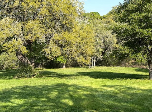112 Kathleen Ave, La Grange, TX 78945 - photo 2