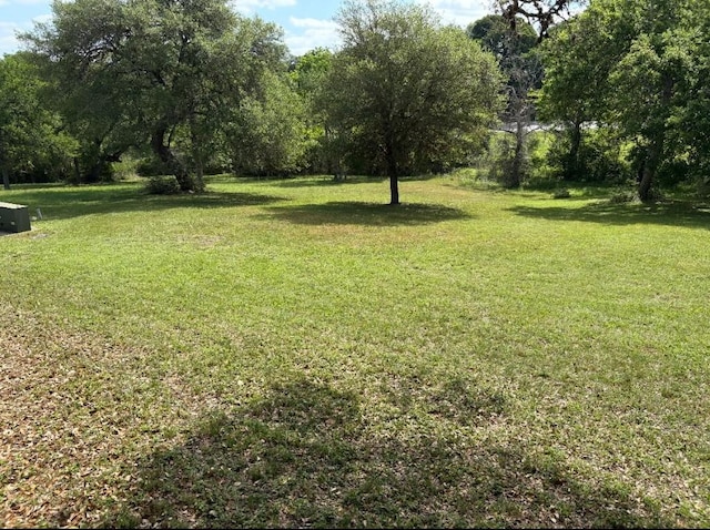 112 Kathleen Ave, La Grange, TX 78945 - photo 4