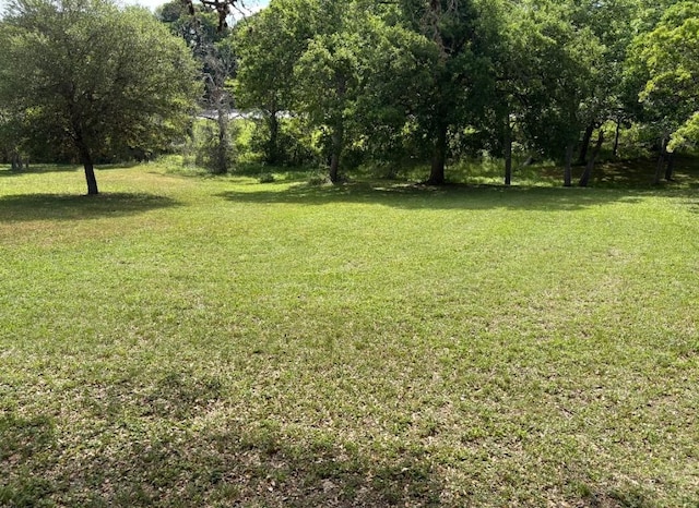 112 Kathleen Ave, La Grange, TX 78945 - photo 5