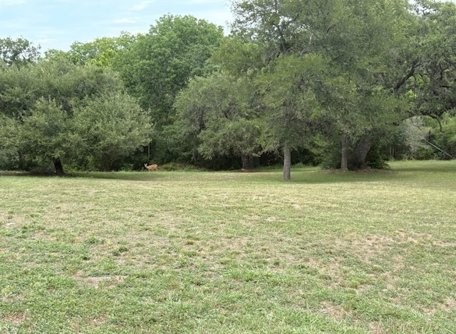 112 Kathleen Ave, La Grange, TX 78945 - photo 8