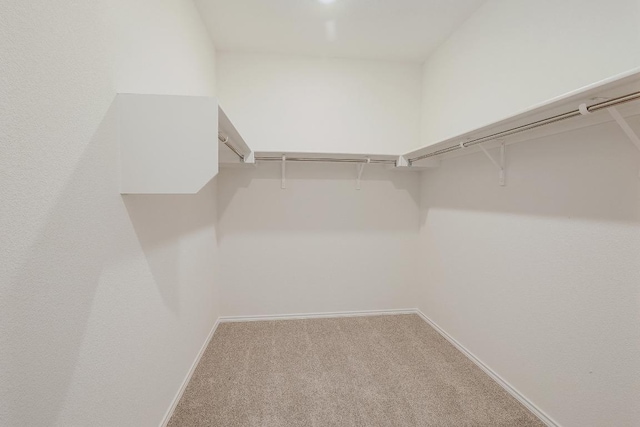 4935 Mozzafiato Ln, Round Rock, TX 78665 - spacious closet with carpet