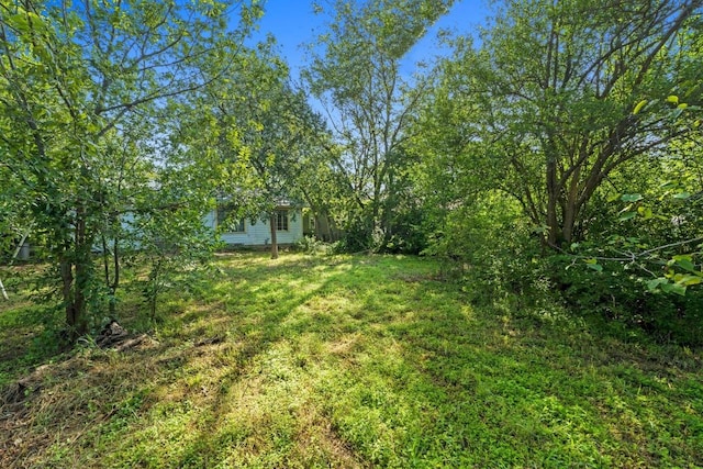 2613 Geraghty Ave, Austin, TX 78757 - view of grassy yard
