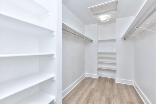 1401 Balsam Way, Round Rock, TX 78665 - walk in closet with wood finished floors and attic access