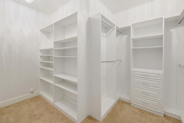 102 Rivulet Ln, Austin, TX 78738 - walk in closet with light colored carpet