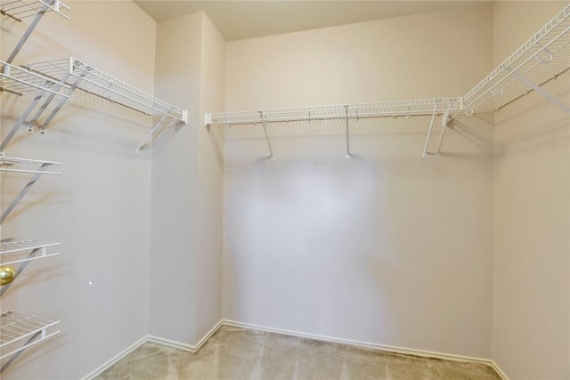 1608 Melibee Trl, Austin, TX 78748 - walk in closet featuring carpet flooring