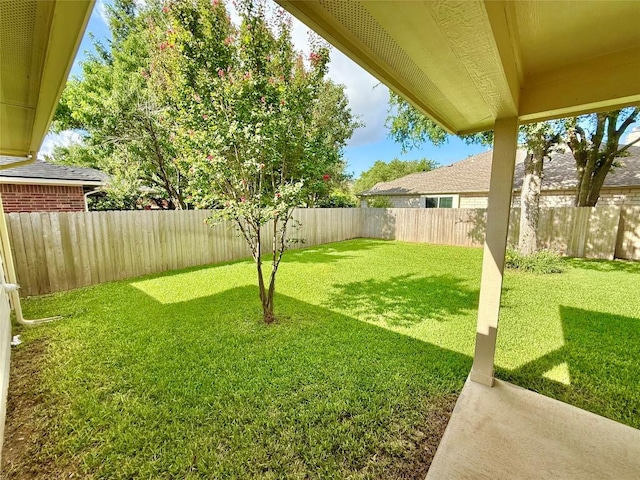 1907 Rutherford Dr, Leander, TX 78641 - fenced backyard with a patio area