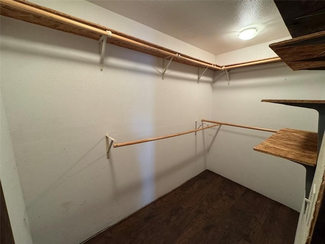 572 Eastern Ave, Bertram, TX 78605 - spacious closet with dark wood-type flooring