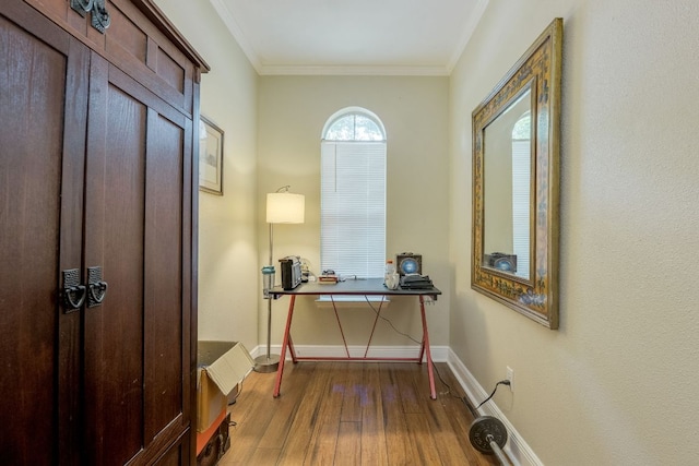 307 N Rainbow Bridge Dr, Cedar Park, TX 78613 - office featuring hardwood / wood-style floors and ornamental molding
