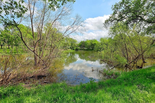 13620 Merseyside Dr, Pflugerville, TX 78660 - water view