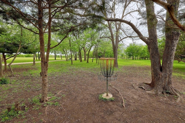13620 Merseyside Dr, Pflugerville, TX 78660 - view of grassy yard