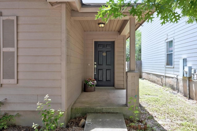 13620 Merseyside Dr, Pflugerville, TX 78660 - doorway to property