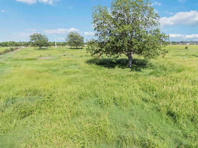 660 American Legion Rd, Smithville, TX 78957
