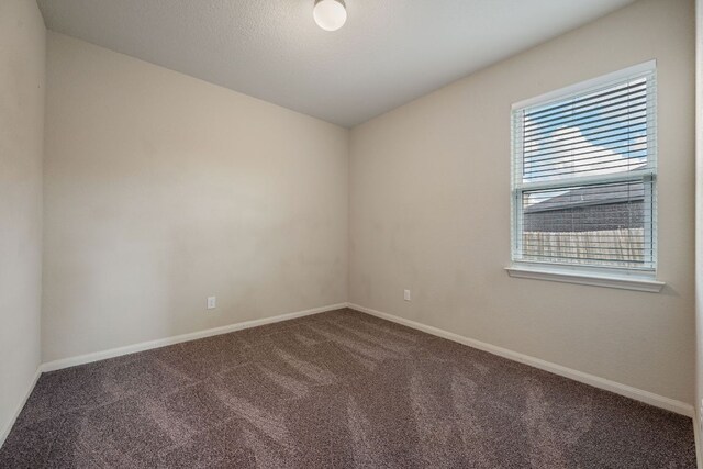 13609 Henry A Wallace Ln, Manor, TX 78653 - photo 11