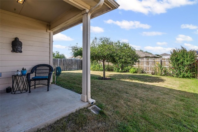 1012 Hawkeye Point Rd, Georgetown, TX 78626 - photo 30