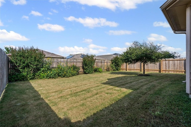 1012 Hawkeye Point Rd, Georgetown, TX 78626 - photo 26