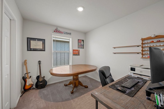 27 Pacific Loon St, Leander, TX 78641 - photo 29