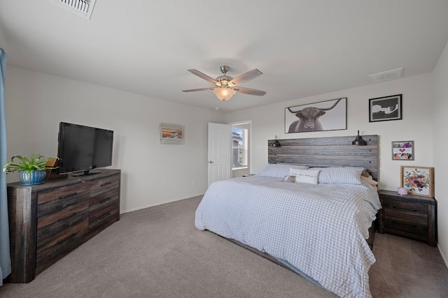 27 Pacific Loon St, Leander, TX 78641 - photo 24