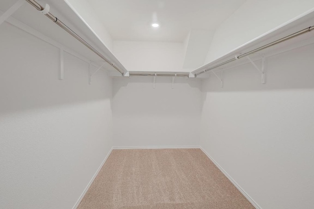 4852 Mozzafiato Ln, Round Rock, TX 78665 - walk in closet featuring carpet flooring
