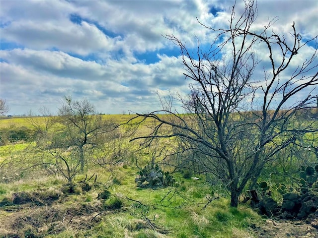 2015 County Road 455, Coupland, TX 78615 - photo 4