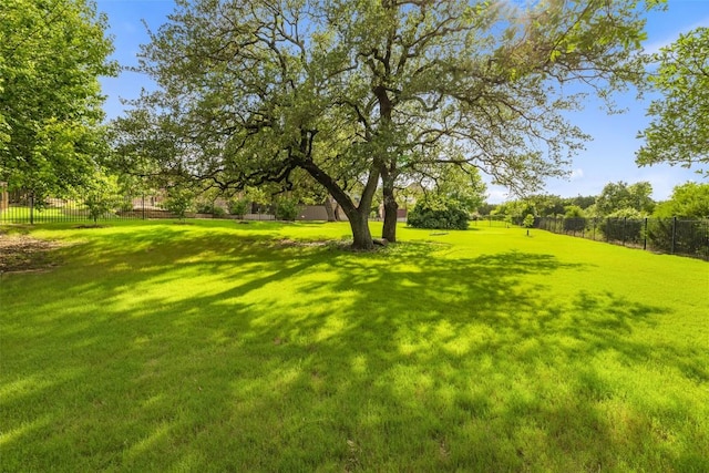 128 Big Sky Cv, Austin, TX 78737 - view of yard