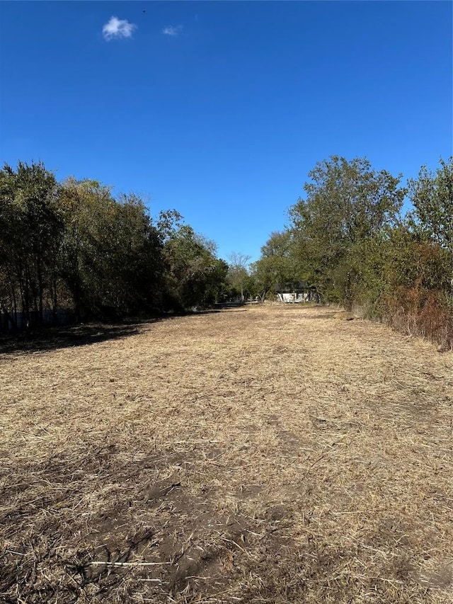 902 Linden St, Bastrop, TX 78602 - view of yard