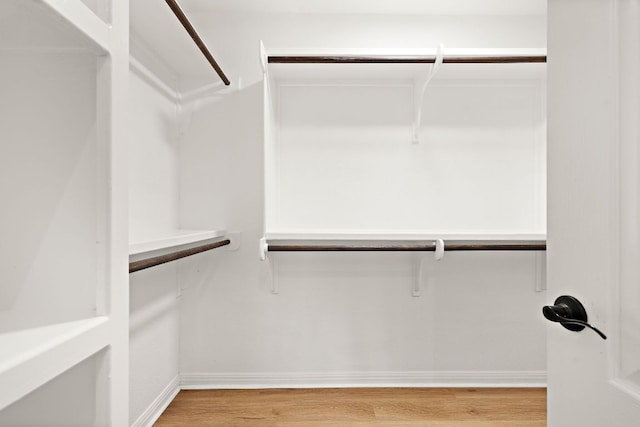 3608 Rockefeller Cv, Lago Vista, TX 78645 - walk in closet with light wood-type flooring