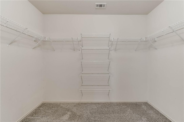 2306 Wilma Rudolph Rd, Austin, TX 78748 - walk in closet featuring carpet floors