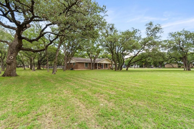 4001 Granada Dr, Georgetown, TX 78628 - view of green lawn