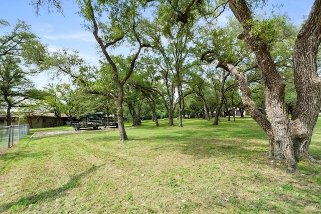 4001 Granada Dr, Georgetown, TX 78628 - view of yard