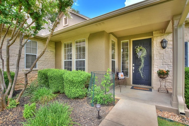 125 Elderberry St, Georgetown, TX 78633 - photo 4