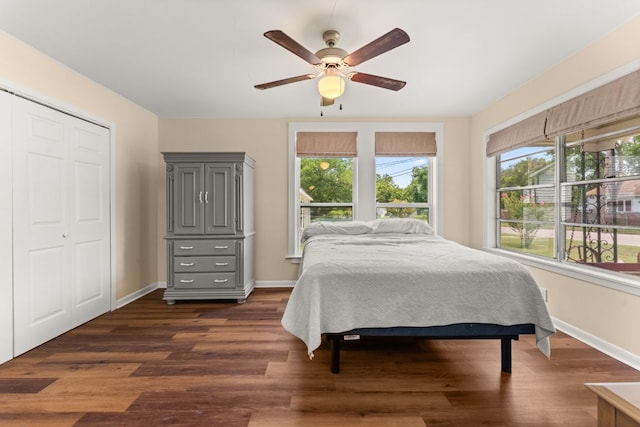 1215 Bois Darc St, Lockhart, TX 78644 - bedroom featuring multiple windows, dark wood-style floors, a ceiling fan, and a closet
