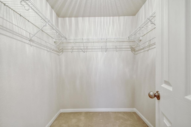 10423 Ancient Anchor, San Antonio, TX 78245 - spacious closet featuring light colored carpet