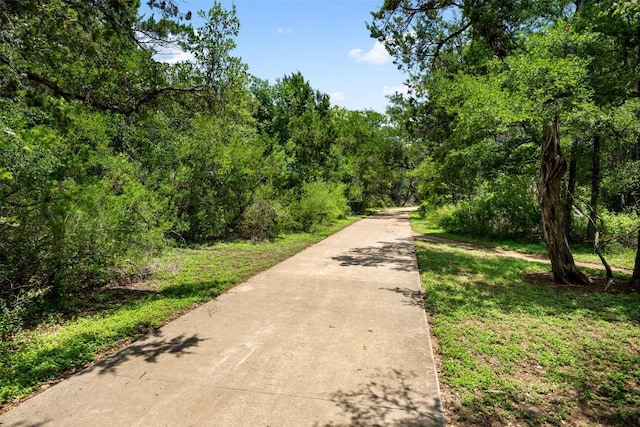 3207 Harpers Ferry Ln, Austin, TX 78745 - view of property's community with a forest view