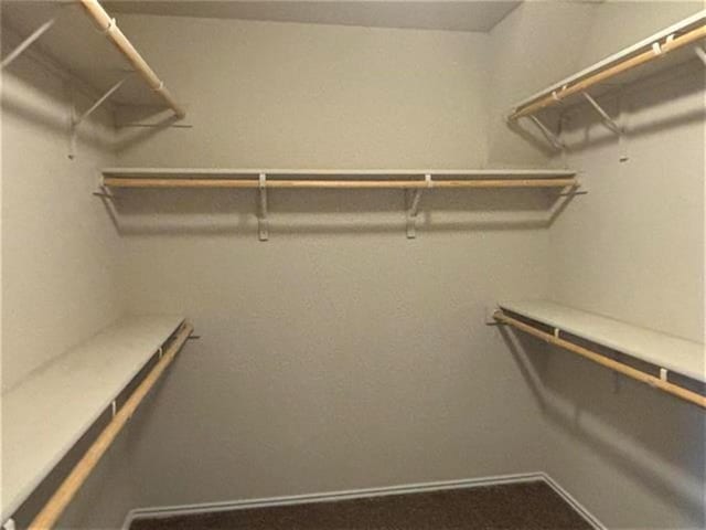 103 Beth Ann Loop, Taylor, TX 76574 - view of spacious closet