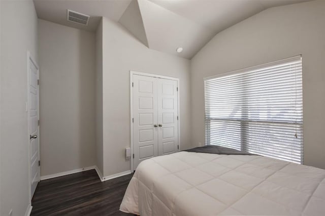 21510 Paine Ave, Lago Vista, TX 78645 - bedroom with dark wood-style floors, vaulted ceiling, and a closet