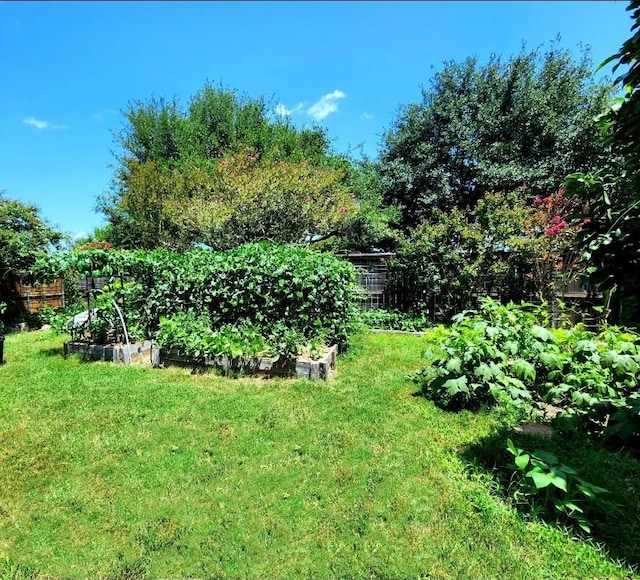 203 Pheasant Trl, Bastrop, TX 78602 - view of grassy yard featuring a vegetable garden