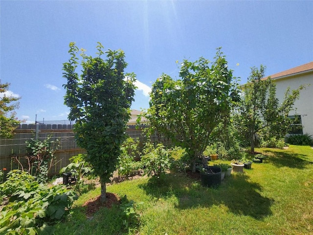 203 Pheasant Trl, Bastrop, TX 78602 - view of yard