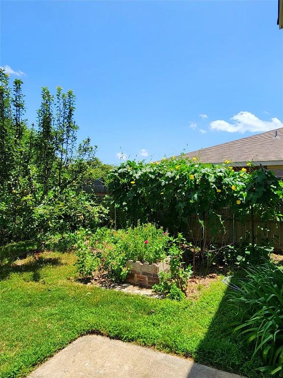 203 Pheasant Trl, Bastrop, TX 78602 - view of yard