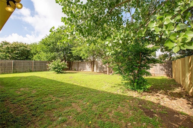 2571 Georgian Dr, Georgetown, TX 78626 - photo 14