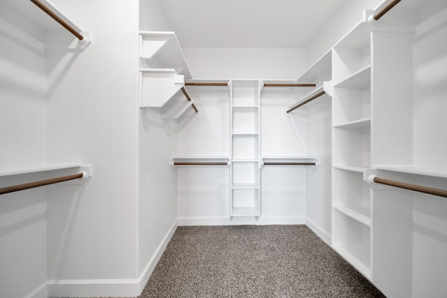 122 Buffalo Ridge Rd, Giddings, TX 78942 - spacious closet featuring carpet flooring