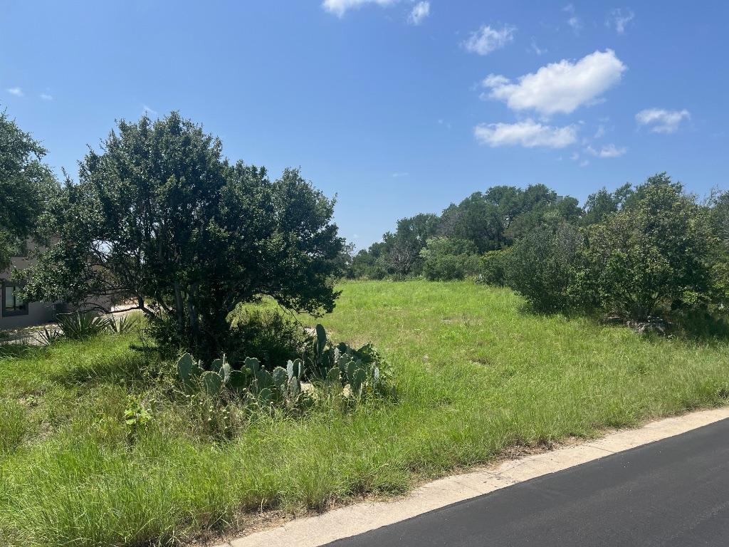 W27002 Western Bit, Horseshoe Bay, TX 78657 - photo 2
