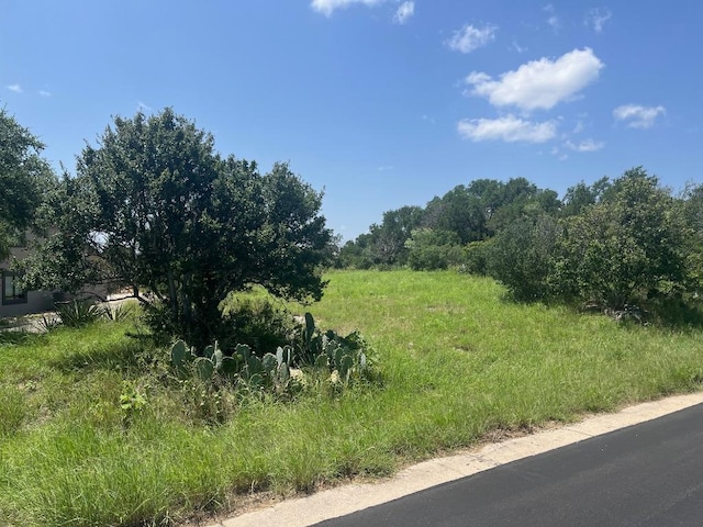 W27002 Western Bit, Horseshoe Bay, TX 78657 - photo 2