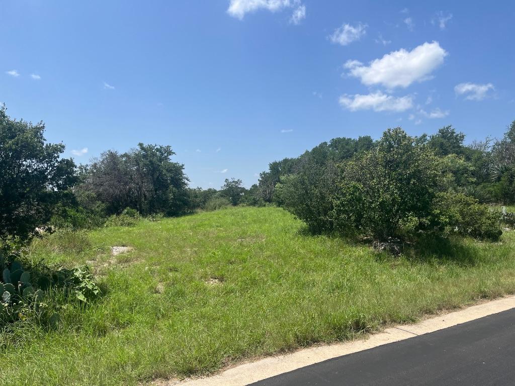 W27002 Western Bit, Horseshoe Bay, TX 78657 - photo 3