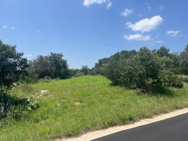 W27002 Western Bit, Horseshoe Bay, TX 78657 - photo 3