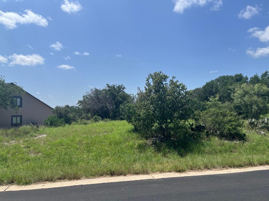 W27002 Western Bit, Horseshoe Bay, TX 78657 - photo 4